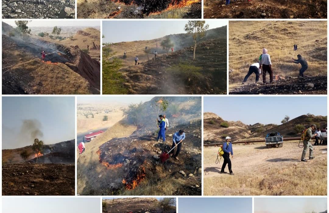 آتش‌سوزی در مراتع و جنگلکاری های مسجدسلیمان مهار شد