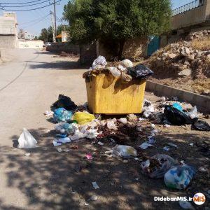 پسماندها و انبوه زباله ها در محلات تهدیدی جدی برای سلامت شهروندان