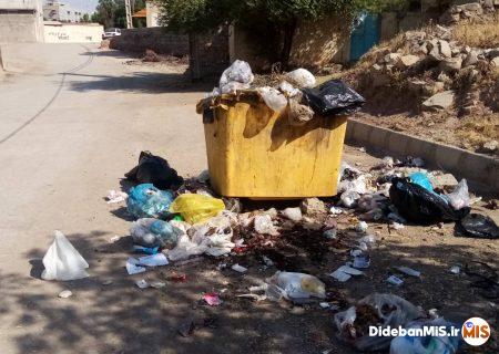 پسماندها و انبوه زباله ها در محلات تهدیدی جدی برای سلامت شهروندان