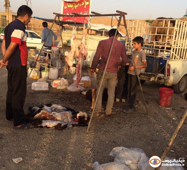 گردن از مو باریک‌تر سرمایه‌گذار!/ تیغ برنده دامپزشکی فقط برای کشتارگاه اهواز و آزادی ذبح غیرمجاز در خوزستان!!