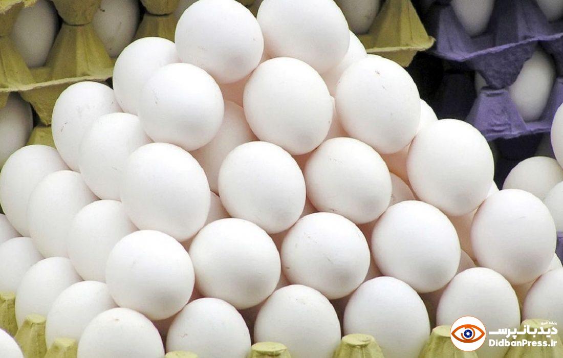 قیمت جدید تخم مرغ اعلام شد