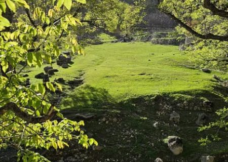 از شیران سنگی تا کرت‌های عناب؛ بزنوید، روایت نادیده‌ی یک زیست‌بوم در دل بخش زلقی لرستان